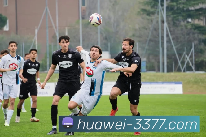 3377体育发展历程