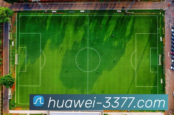 3377体育APP 封面图