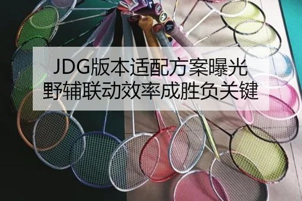 JDG版本适配方案曝光 野辅联动效率成胜负关键